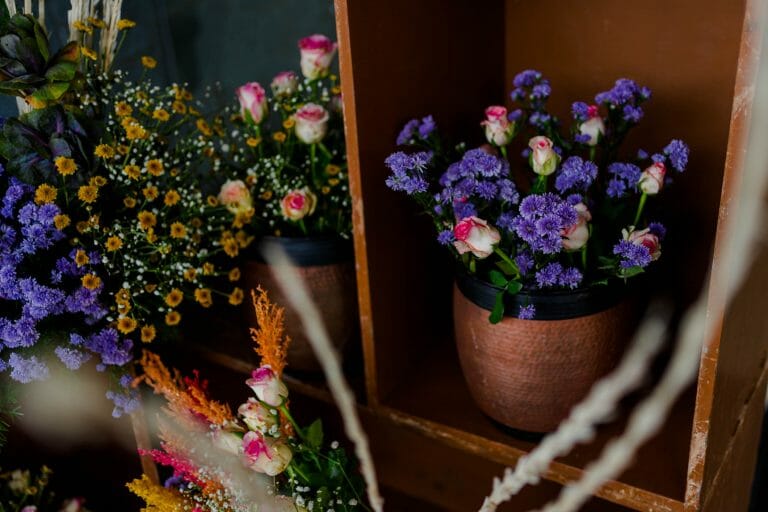 Amrutha & Prabhu | Engagement Photography & Cinematic video Bangalore - photograph 40